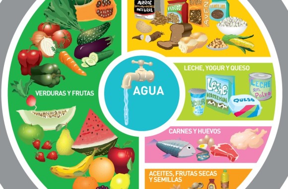 plato-alimenticion-web