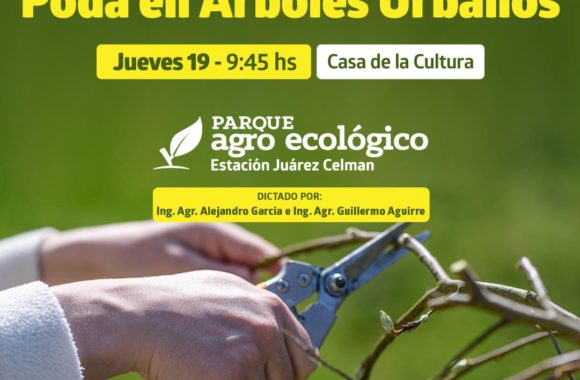 Taller de poda en árboles urbanos