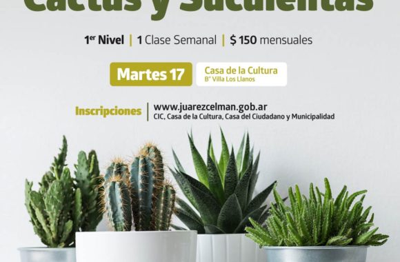 WhatsApp Image 2018-07-12 at 12.45.00