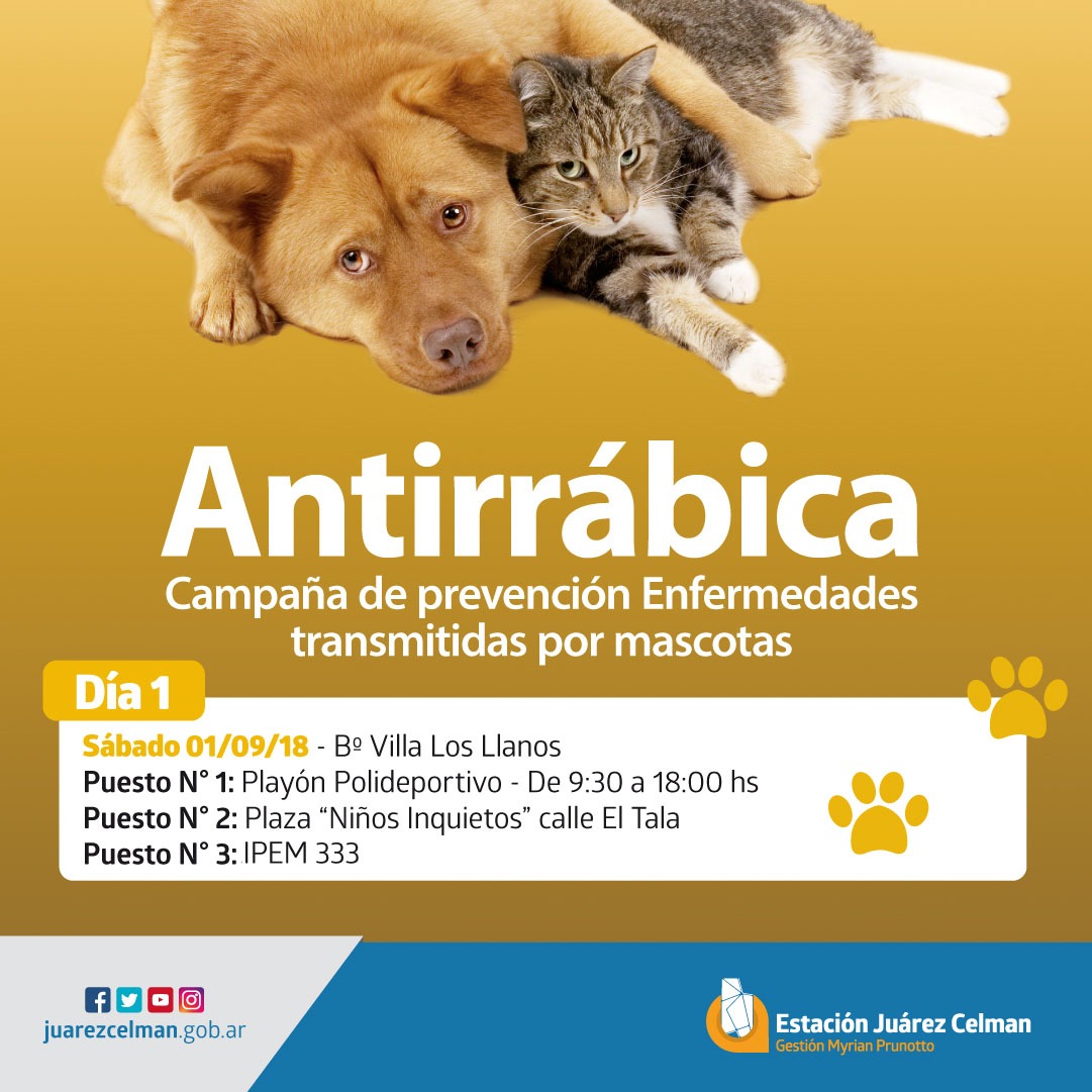 WhatsApp Image 2018-08-24 at 15.19.03 (1)