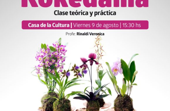 clase magistral de kokedama estacion juarez celman gestion myrian prunotto